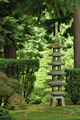 Zen Grove