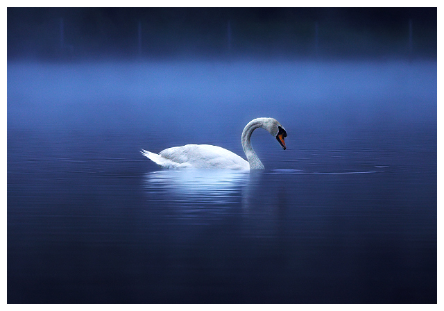 Serenity