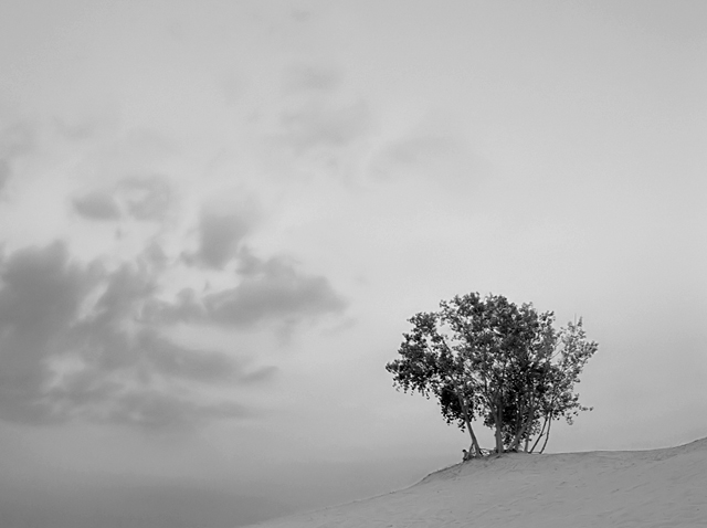 Tranquility