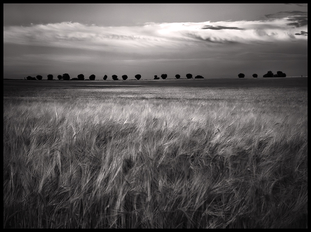 Listen to the wind
