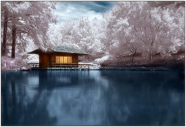 Japanese Tea House