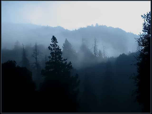 Zen Mountain
