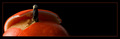 The Reeses never saw it coming...
