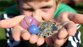 Little Boys Treasure