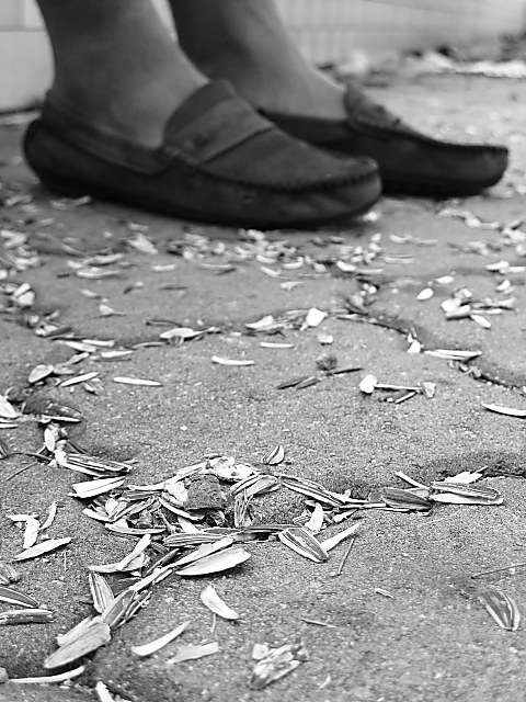 Littered with Sunflower Seed Shells