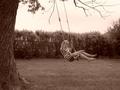 Summer Swing