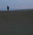 Running Across Sand Dunes