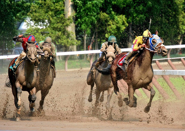 Mud, Sweat and Tears