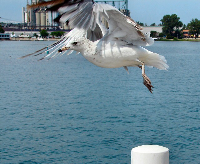 Time For Take-Off!