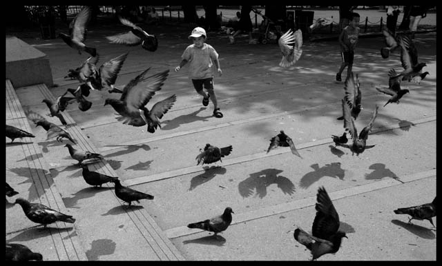 free