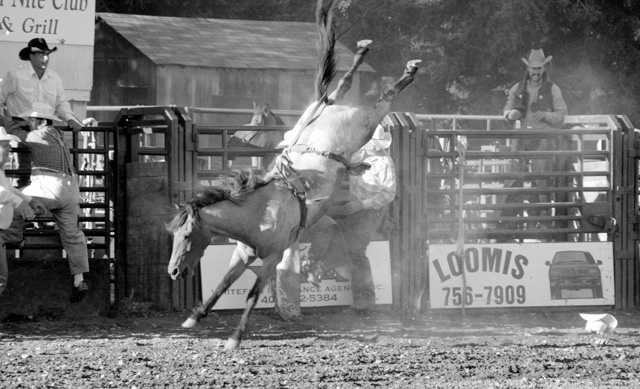 High Kickin'