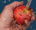 apple splash