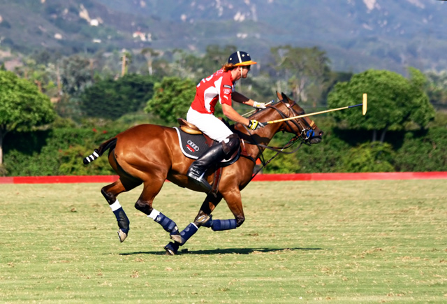 Sixth Chukker