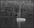 Sailboat On Fairfield Lake