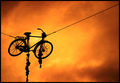 What is my bike doing up there?