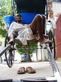 Rickshaw An Ancient Transport