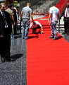 The Red Carpet