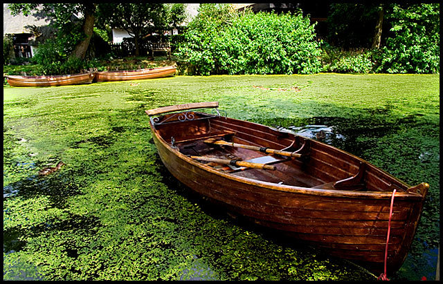 Row Boat