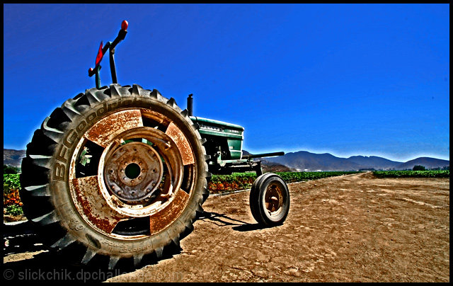 From The Field To The Front Porch