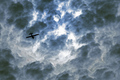 Cloud Flyer - Sepia