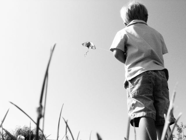 let's go fly a kite