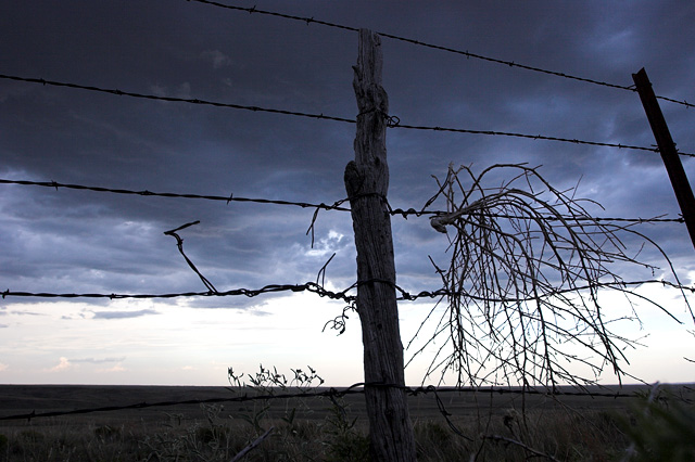 The Storm