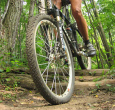 Mountain Bike Tire