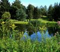 Meadows Pond