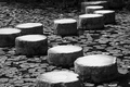 Kyoto