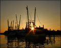 Early Morning Trawlers