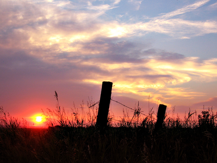 Beauty Becomes A Sunset