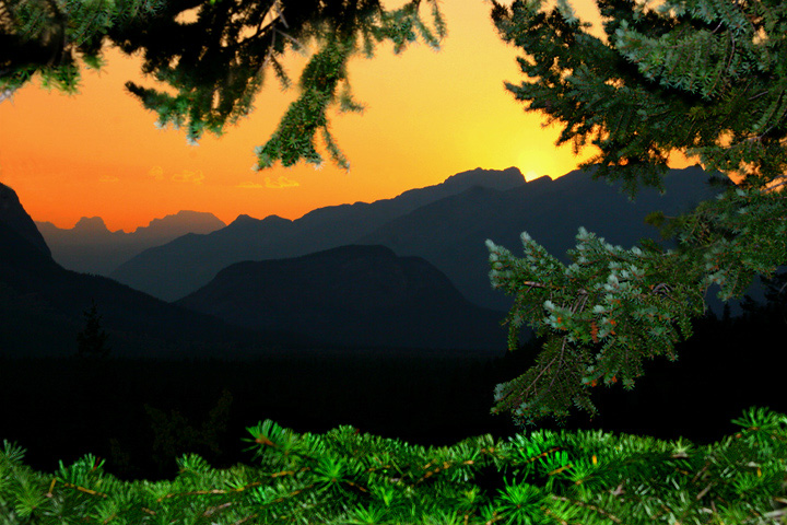 Silhouettes at Sundown