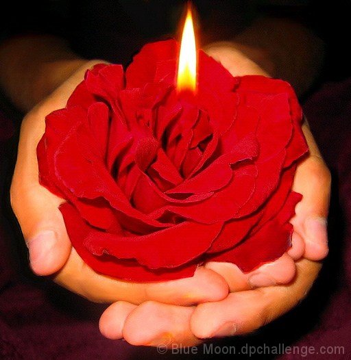 A Gift of Passion