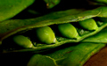Peas In A Pod