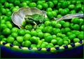 The Princess and the Peas