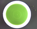 Imagine Whirled Peas