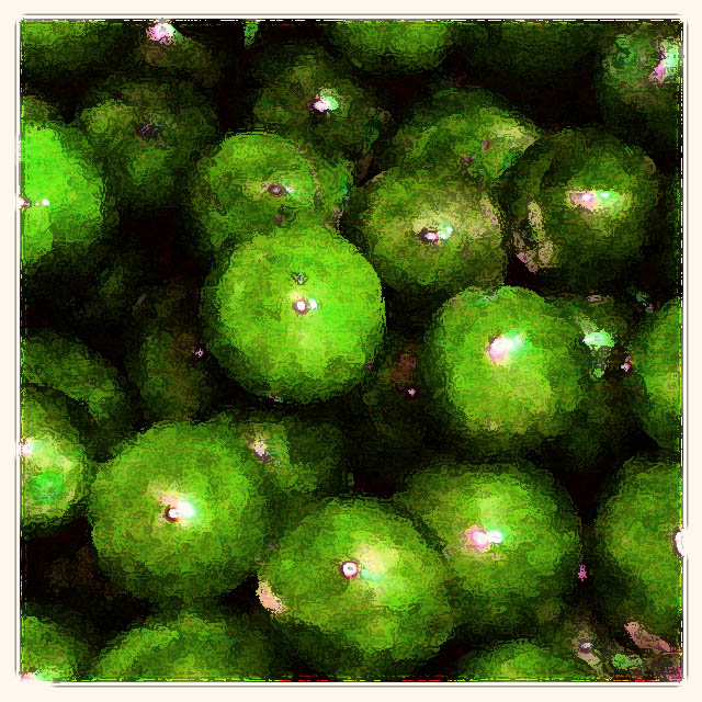 pea dreams