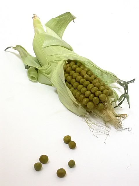 Peas on the Cob