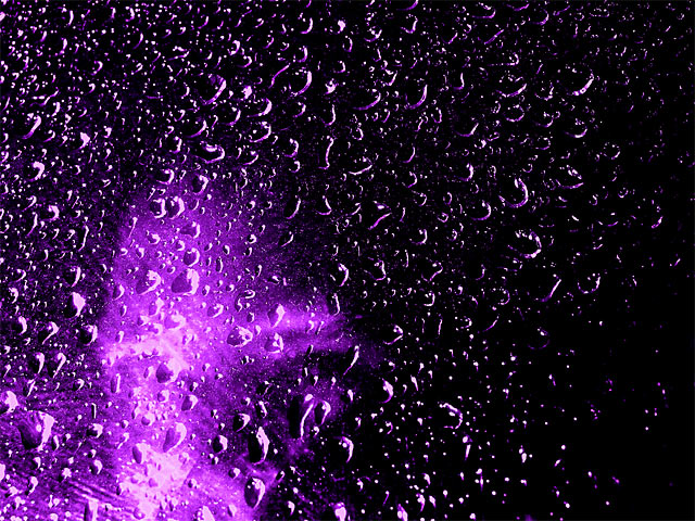 Reflecting in Rain -- Purple Rain_Prince