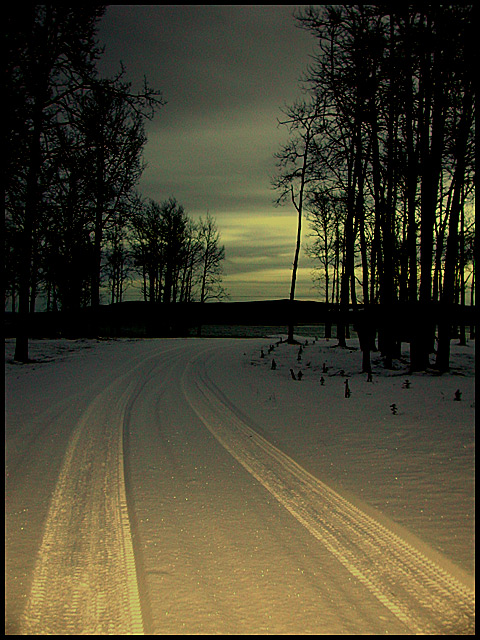 Lonely Ol' Night by John Cougar