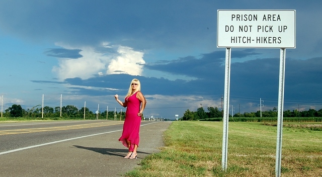 Hitchin