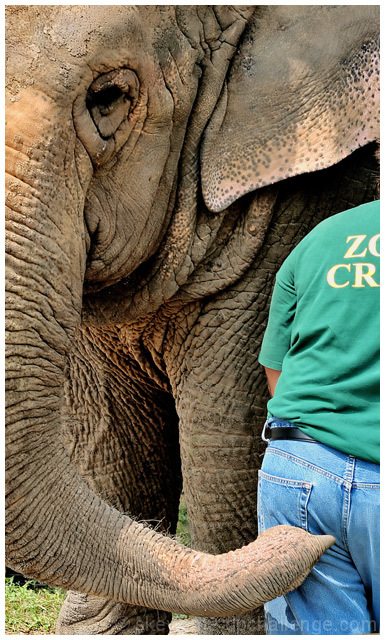 I'm with Dumbo