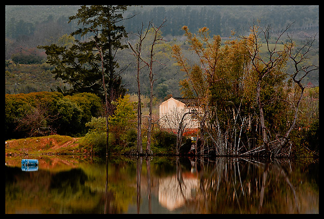 Enchanted Waters