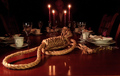 Professor Plum, in the Dining Room, with the Rope