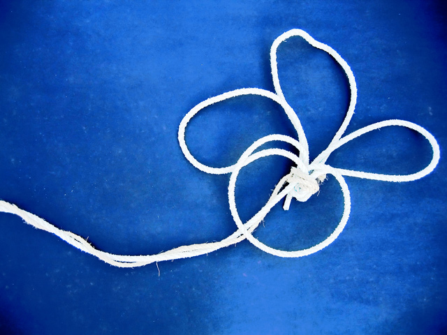 Forget-me-knot