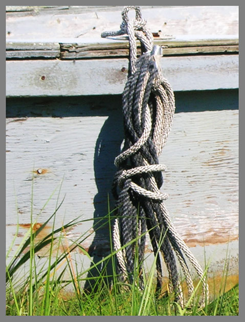 Grey Dingy