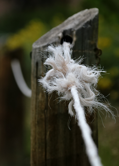 Frayed