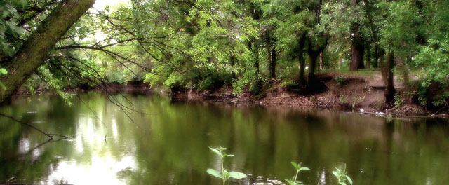 Lazy Afternoon on Big Creek