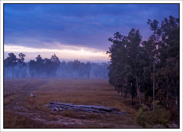 Misty Mornings