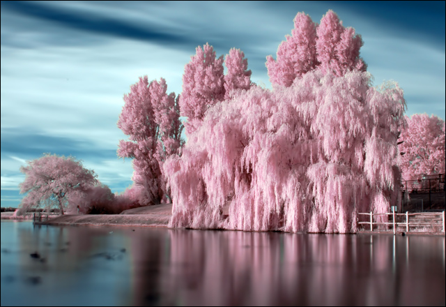 Candyfloss Lake